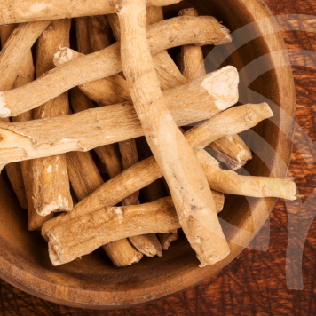  Ašvaganda NSP NSP modelis 23072 | Vaizdas Nr. 1