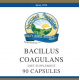 Bacillus Coagulans NSP