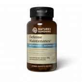 Gynybos techninės priežiūros NSP