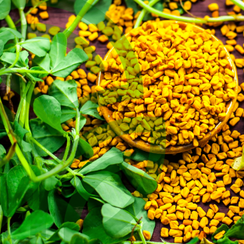 Fenugreek & Thyme NSP  Fenugreek & Thyme NSP NSP modelis 885 | Vaizdas Nr. 1