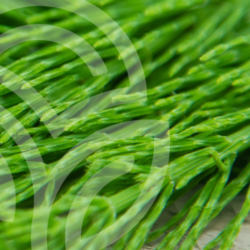  HSN-W NSP NSP modelis 935 | Vaizdas Nr. 1