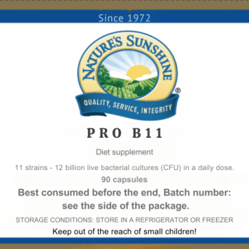  Pro B11 NSP NSP modelis 1510 | Vaizdas Nr. 1