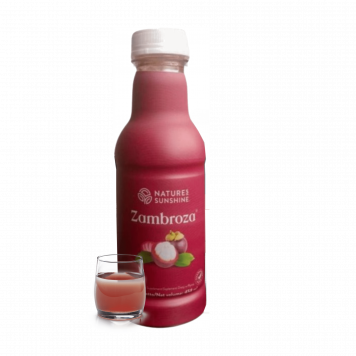  Zambroza NSP NSP modelis 4104 | Vaizdas Nr. 1