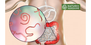 Kaip saugiai ir natūraliai įveikti parazitus ir kandidozę: NSP programa