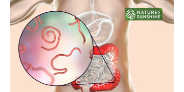 Kaip saugiai ir natūraliai įveikti parazitus ir kandidozę: NSP programa