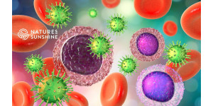 Kaip sustiprinti imunitetą vasarą: natūralūs NSP sprendimai